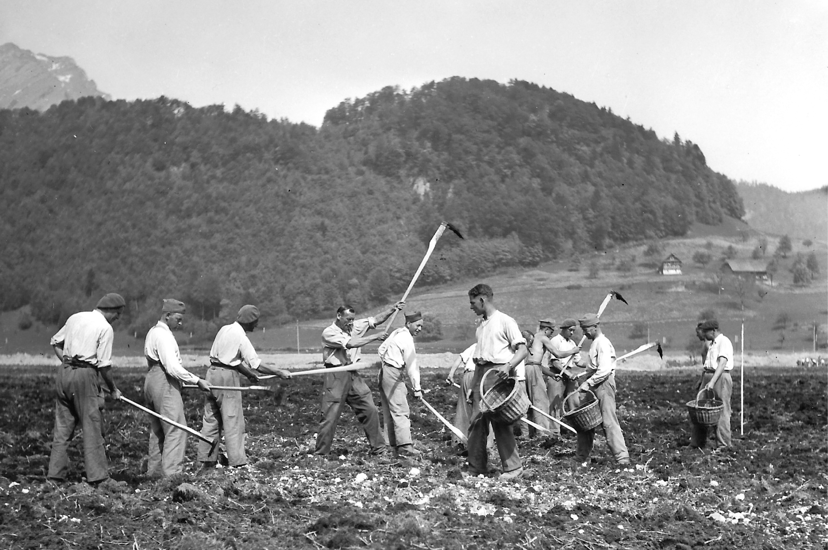 Polnische Internierte beim Kartoffelsetzen