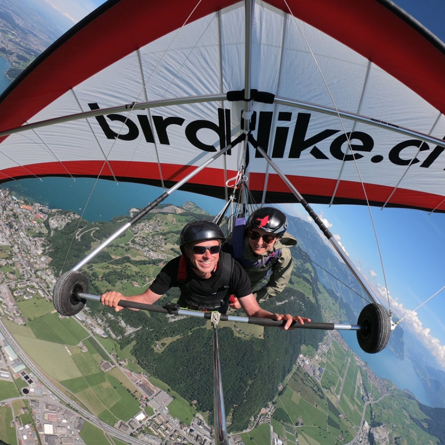 Birdlike