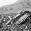 Der versunkene «Drachenried-Bulldog»