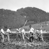 Polnische Internierte beim Kartoffelsetzen